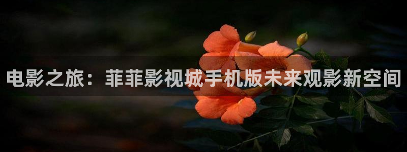 97影院九七理论片